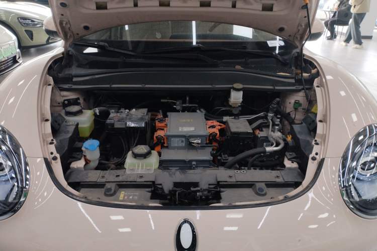 Used ORA Good Cat 2023 401 km Standard Range Luxury Version Lithium Iron Phosphate
