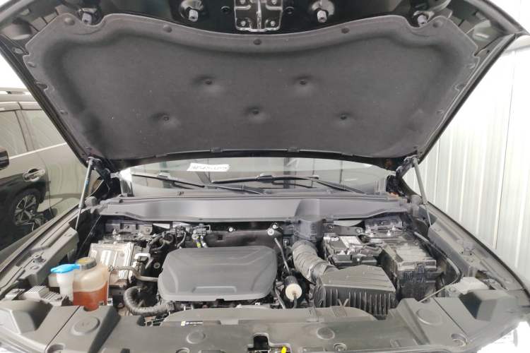 Used Haval DARGO 2022 1.5T DCT Two-Wheel Drive Labrador Edition
