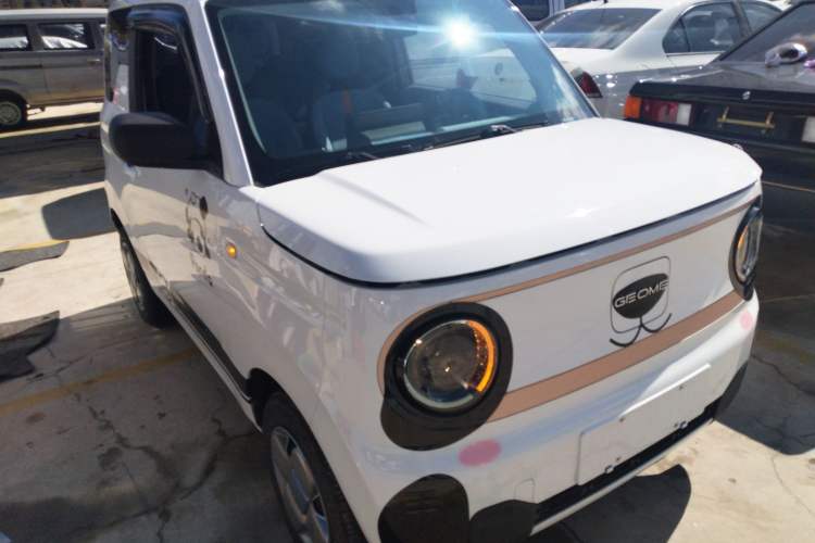 Used  Panda 2023 Panda Mini 200km Endurance Bear
