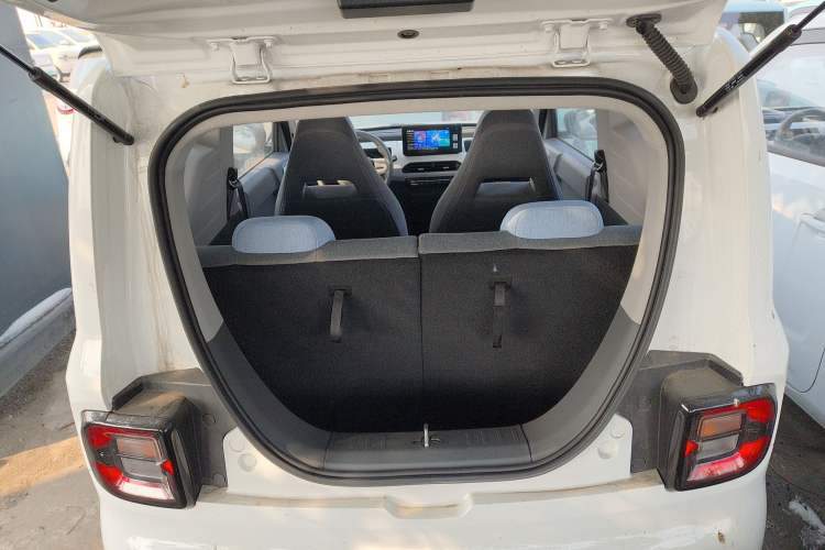 Used  Panda 2024 Panda Mini 200km Endurance Bear
