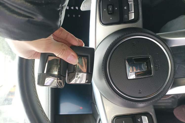 Used Tank 300 2024 2.0T Conqueror