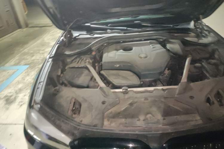 Used BMW 5 Series 2018 Revised Version 530Li Leading Edition Luxury Package
