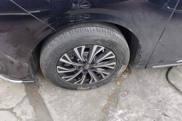 Used Hongqi HQ9 2024 2.0T Business Edition