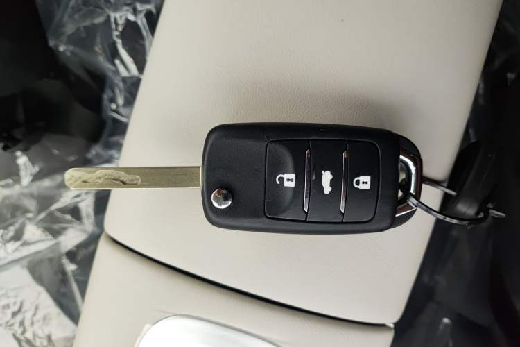 Used  Lumin 2025 205 km Xiangqin Version