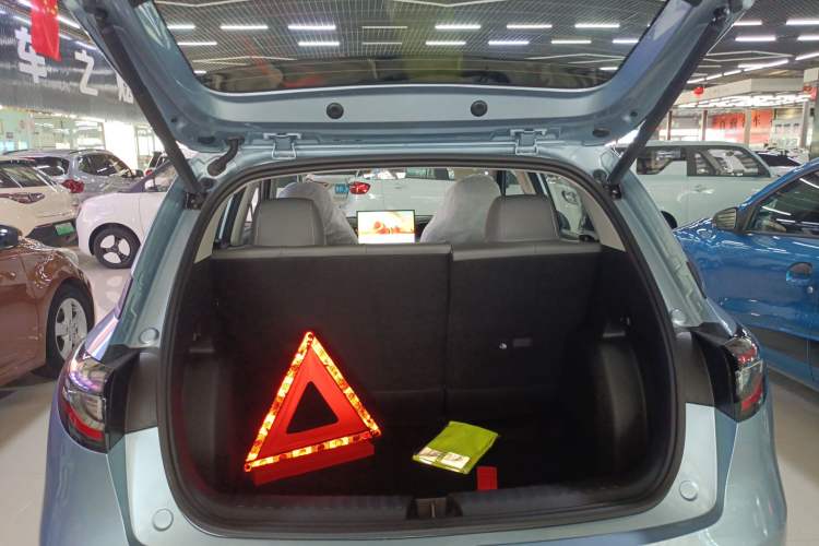 Used  Geome 2025 310km Dream Edition
