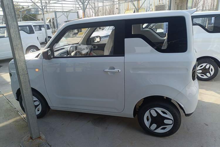 Used  Panda 2025 210 km – Yuanqi Bear
