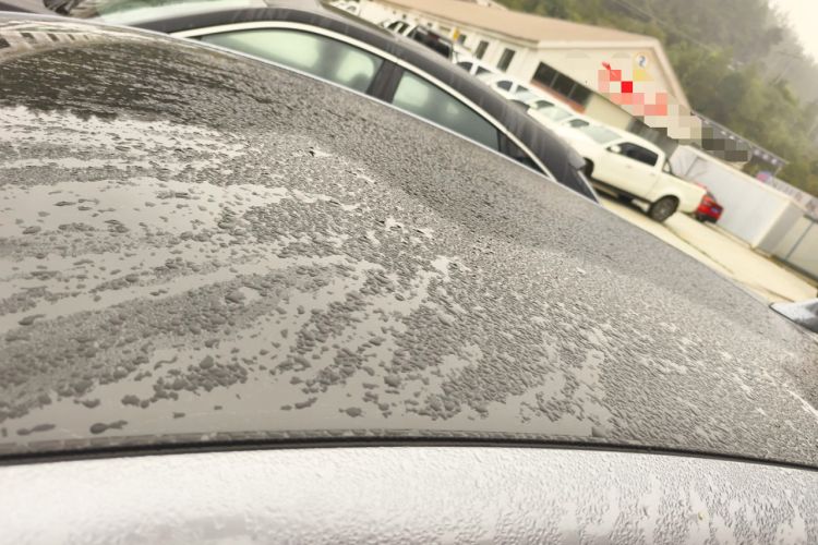 Used BYD Dolphin 2021 401km Knight Edition