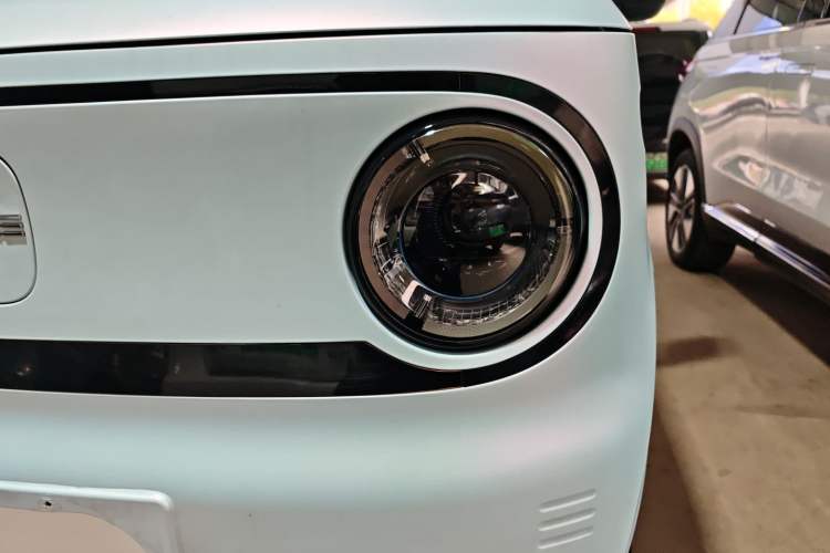 Used  Panda 2023 Panda Mini 200km Endurance Bear