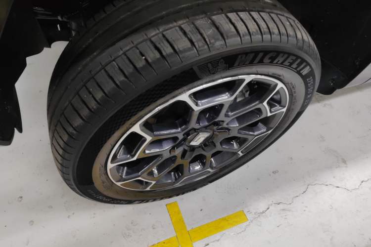 Used Tank 700 New Energy 2024 Hi4-T Extreme Edition
