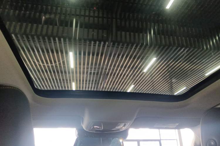 Used Haval DARGO 2024 2.0T DCT Chinese Rural Dog Edition
