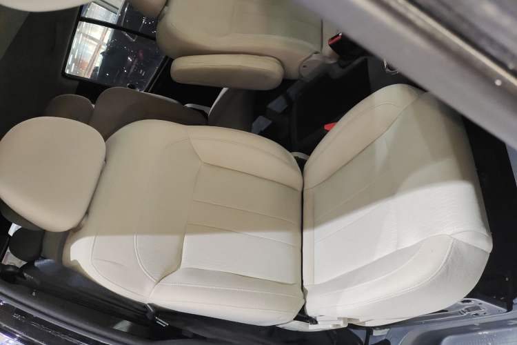 Used FORTHING Lingzhi 2021 M5L 2.0L Utility Model