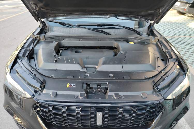 Used Wey VV6 2019 2.0T Two-Wheel-Drive Ultra-Luxury Version China VI Standard
