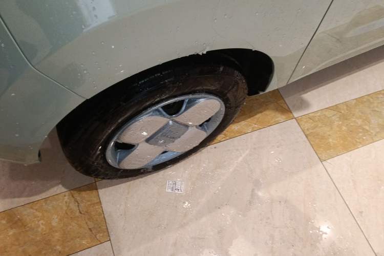 Used  Panda 2023 Panda Mini 200km Endurance Bear
