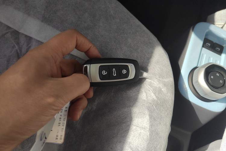 Used  Panda 2024 Panda Mini 200km Endurance Bear