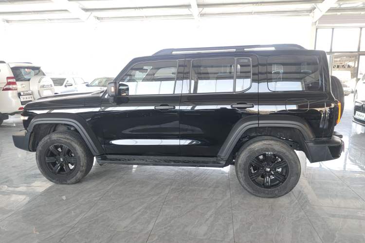 Used Tank 300 2024 2.0T Conqueror