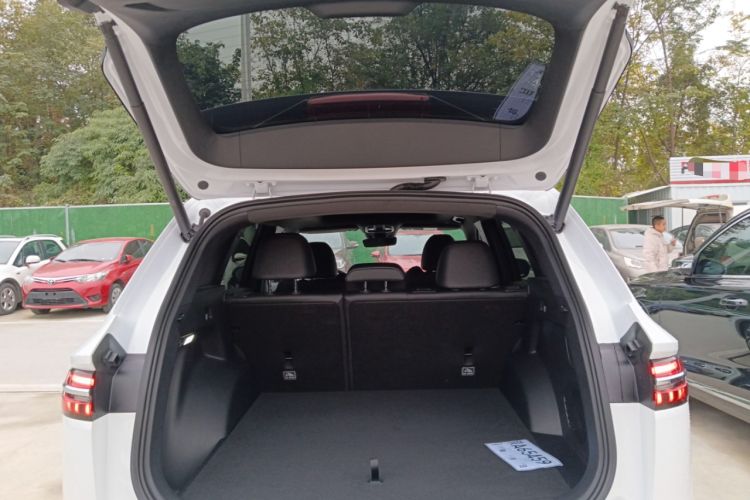 Used Geely Auto Monjaro L 2024 2.0TD High-Power Automatic Two-Wheel Drive Skyline Edition
