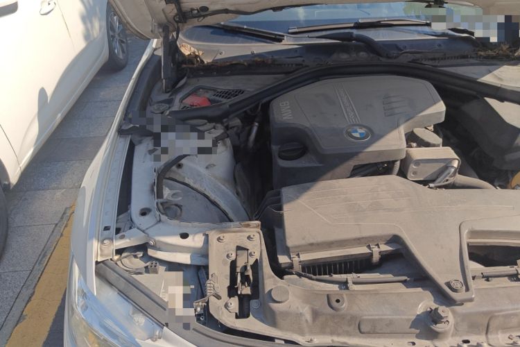 Used BMW 3 Series 2016 320Li Ambition Model
