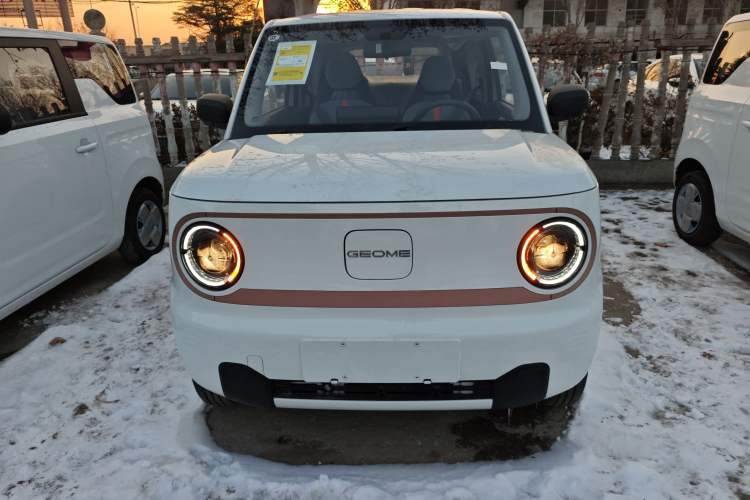 Used  Panda 2024 Panda Mini 200km Endurance Bear