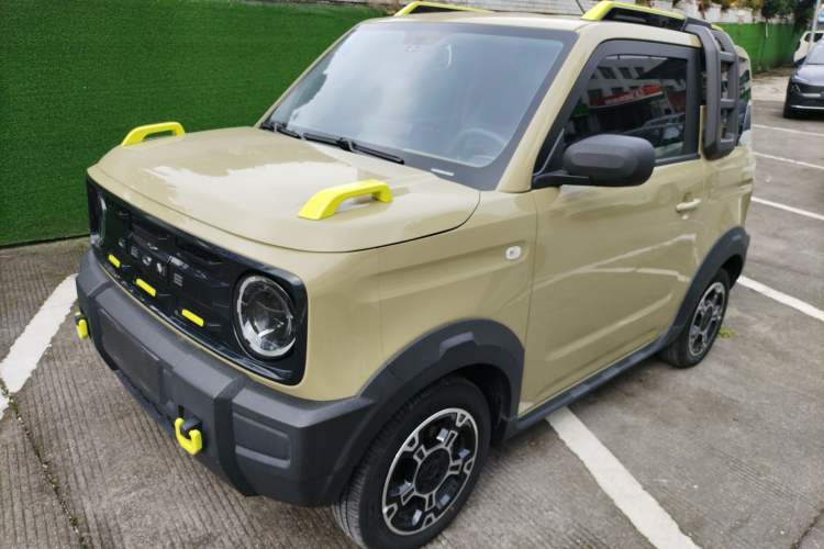 Used  Panda 2024 200km Panda Rider