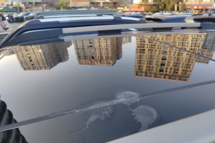 Used Haval DARGO 2024 1.5T DCT Border Collie Edition