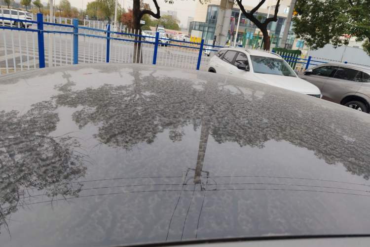 Used Tesla Model Y 2023 Long-Range All-Wheel-Drive Version
