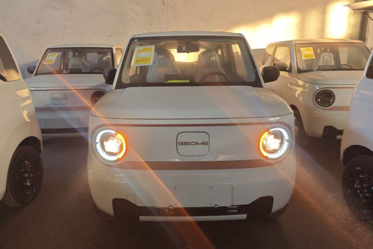 Used  Panda 2024 Panda Mini 200km Endurance Bear