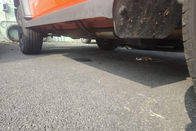 Used Tank 300 2024 2.0T Conqueror