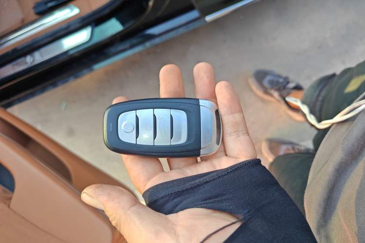 Used Hongqi H9 2020 2.0T Smart Connect Flagship Edition