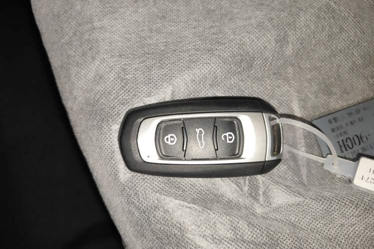 Used  Panda 2024 Panda Mini 200km Endurance Bear
