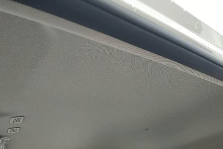 Used  Panda 2024 Panda Mini 200km Endurance Bear
