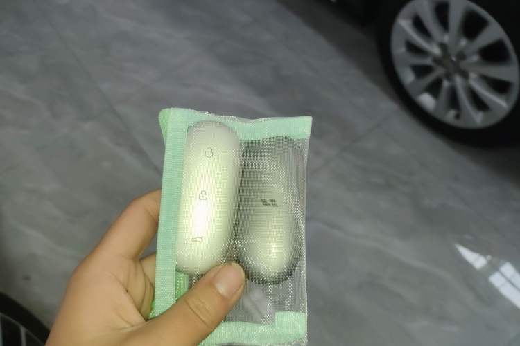 Used Li Auto L6 2024 Pro Model