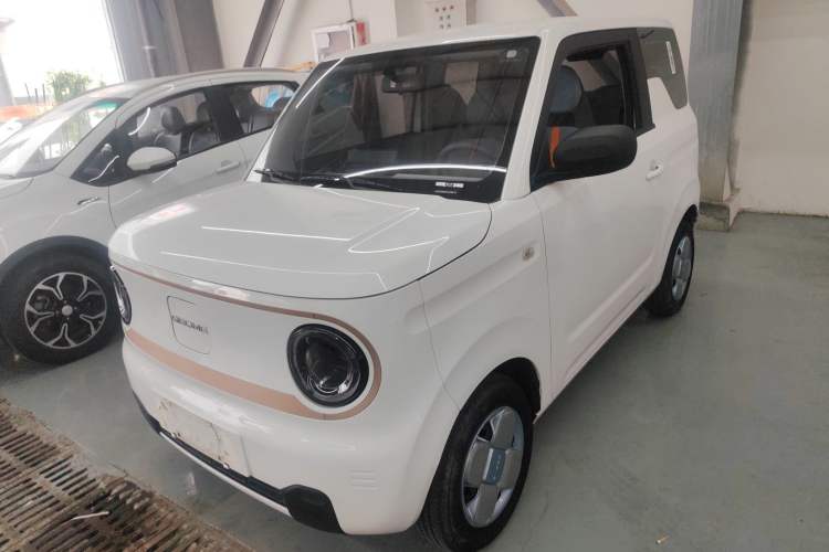 Used  Panda 2023 Panda Mini 200km Endurance Bear
