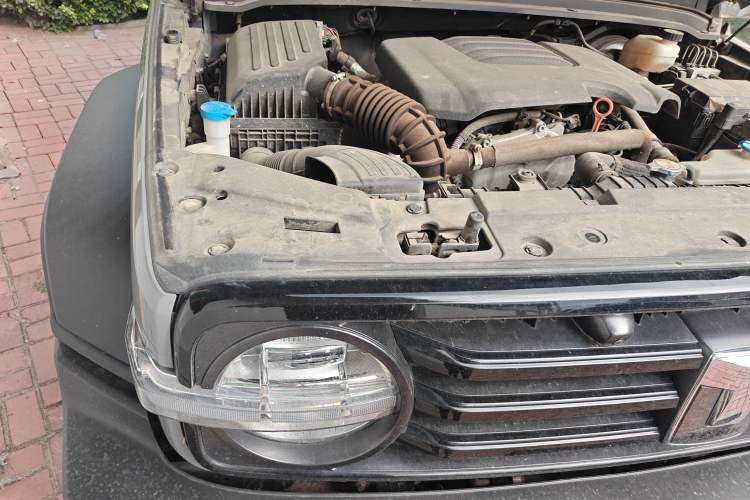 Used Tank 300 2021 Off-Road Edition 2.0T Conqueror
