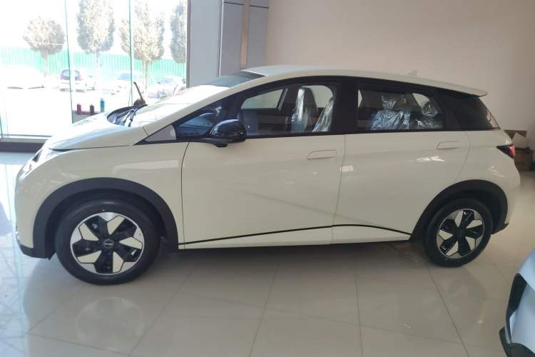 Used BYD Dolphin 2025 420km Free Edition
