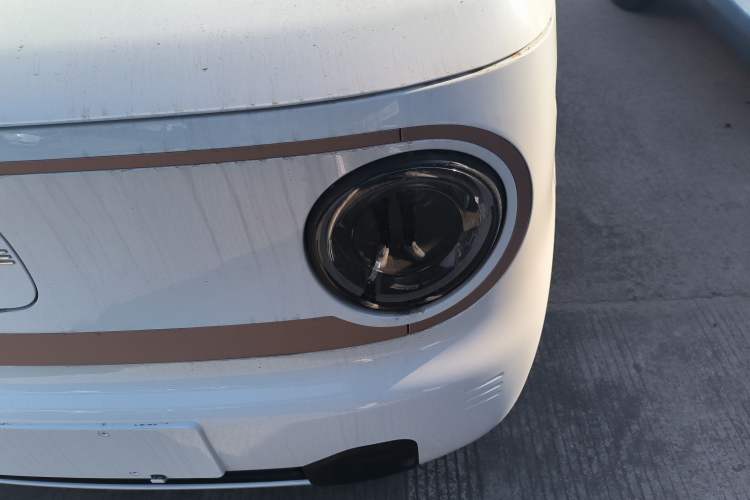 Used  Panda 2024 Panda Mini 200km Endurance Bear
