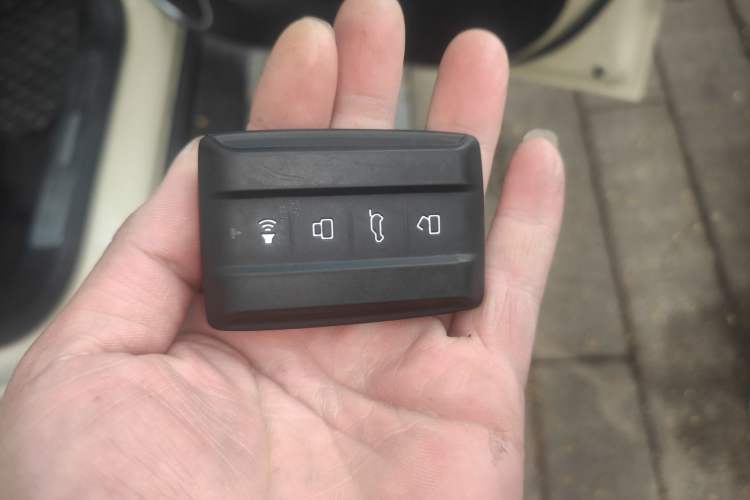 Used Tank 300 New Energy 2025 Hi4-T
