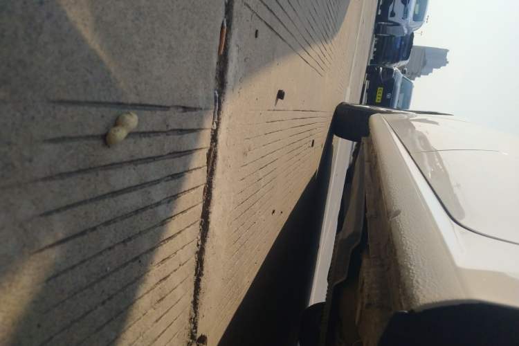 Used Volkswagen Lavida 2019 Lavida Start 1.5L Automatic Trendy Version China VI Standard
