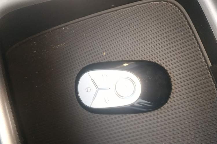 Used  Geome 2025 310km Youth Edition
