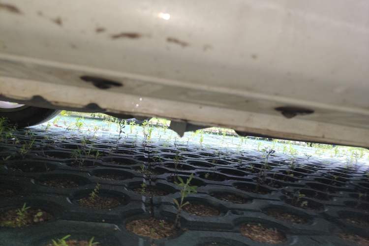 Used Nissan Sylphy 2021 Classic 1.6XL CVT Luxury Edition
