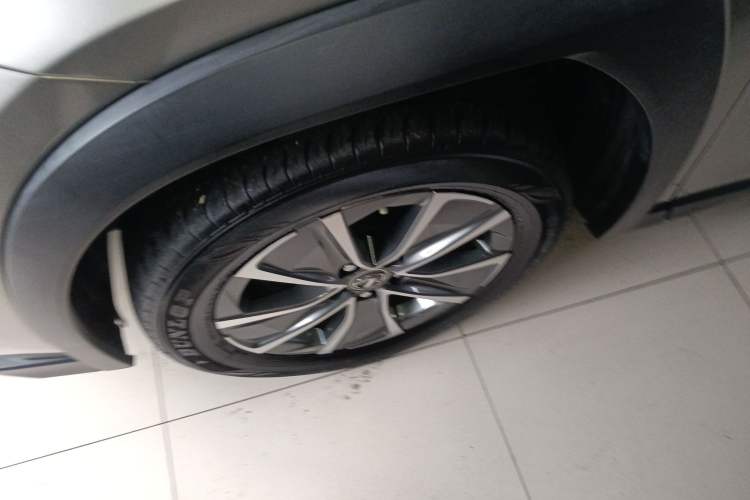 Used Lexus UX New Energy 2020 300e Pure·Joy Edition
