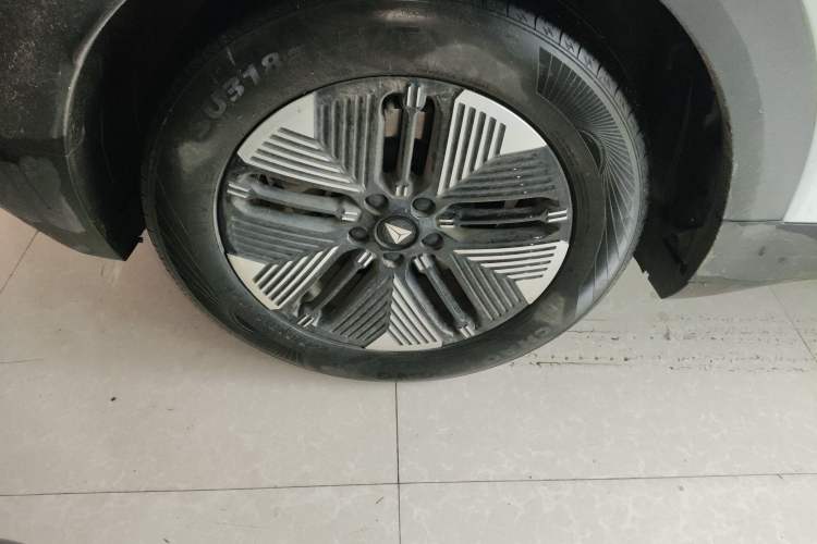 Used  S05 2024 510Max Pure Electric Version