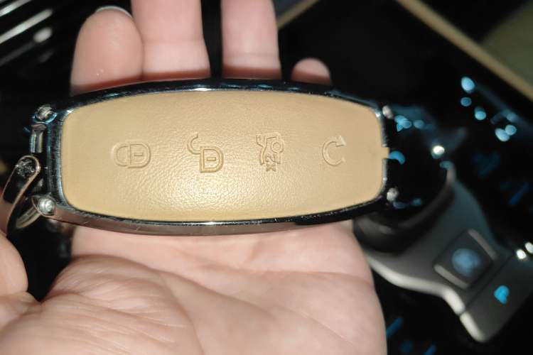 Used Denza D9 2022 DM-i 970 Four-Wheel Drive Flagship Model