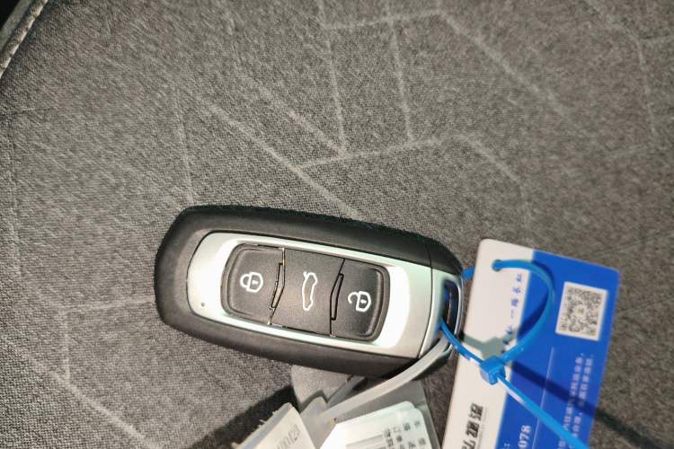 Used  Panda 2024 Panda Mini 200km Endurance Bear
