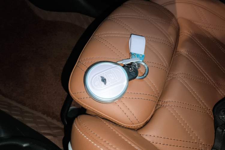 Used  MINI 2023 2.0T COOPER S Artist