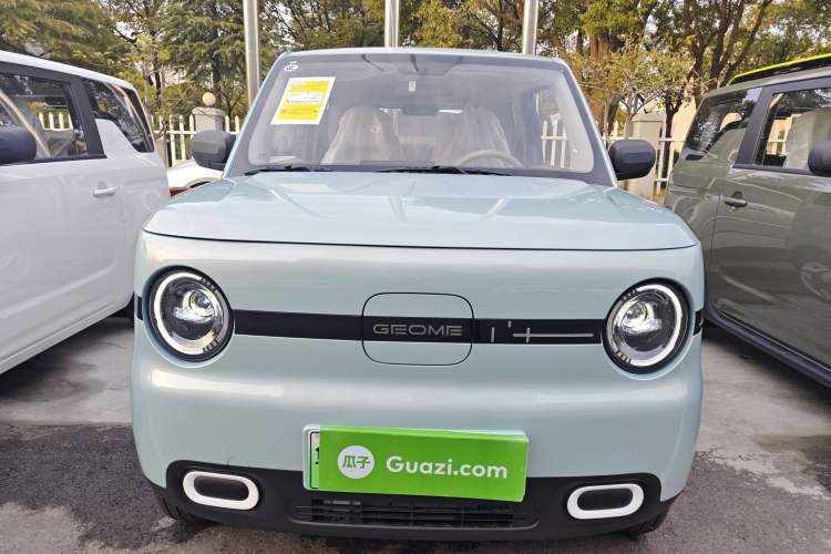 Used  Panda 2025 210 km – Yuanqi Bear
