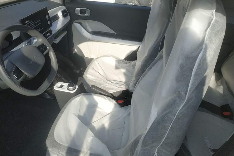 Used  Panda 2025 210 km – Yuanqi Bear
