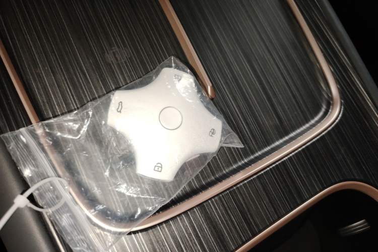 Used  eπ008 2024 210Max Range-Extended Version 6 Seats