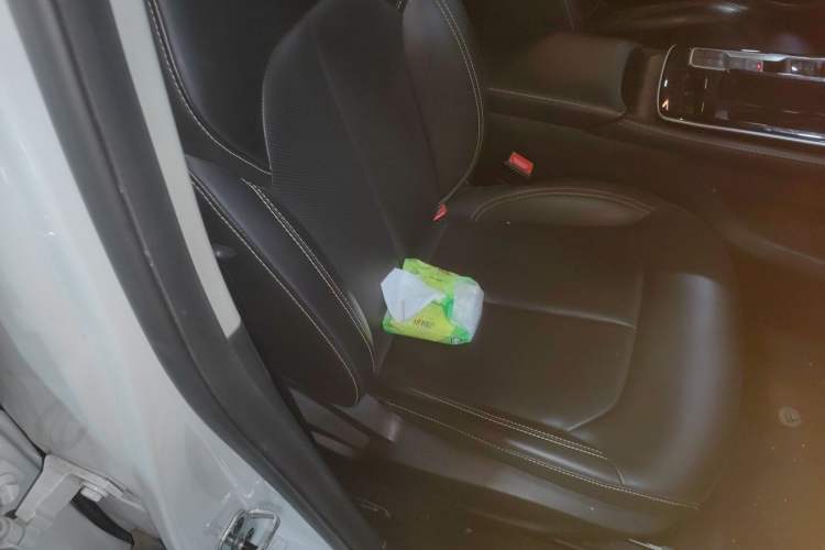 Used Roewe i6 MAX New Energy 2023 EV 420 Skyroof Special Edition
