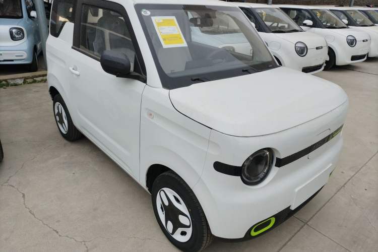Used  Panda 2025 210 km – Yuanqi Bear