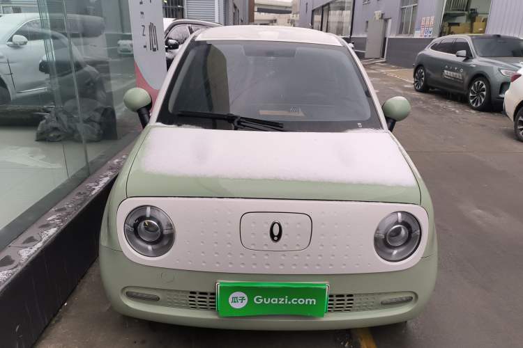 Used ORA Black Cat 2022 351 km Comfort Version Ternary Lithium
